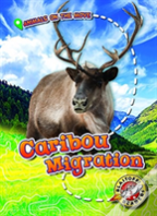 Caribou Migration