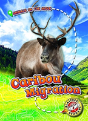 Caribou Migration - Preview