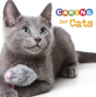 Caring For Cats - Preview