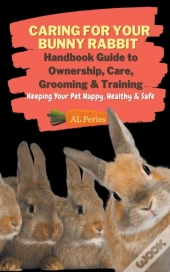 Caring For Your Bunny Rabbit
