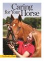 Caring For Your Horse - Preview