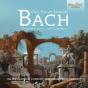 Carl Philipp Emanuel Bach: Chamber Music for Clarinet - CD - Preview