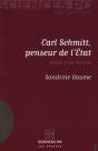 Carl Schmidt, Penseur De L'Etat ; Genèse D'Une Doctrine - Preview