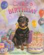 Carl'S Birthday - Preview