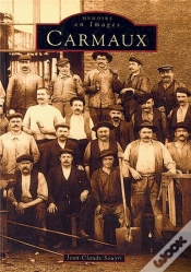 Capa do artigo Carmaux