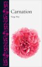 Carnation - Preview