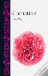 Carnation