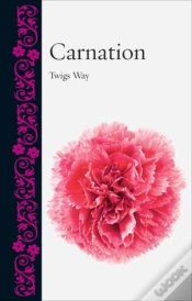 Capa do artigo Carnation