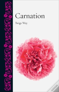 Capa do artigo Carnation