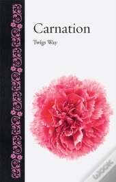 Carnation