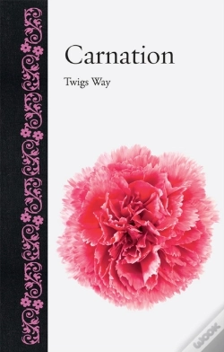 Capa do artigo Carnation
