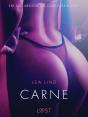 Carne - Conto Erótico - Preview