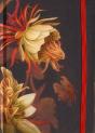 Carnet A Elastique L'Herbier Des Fees - Preview