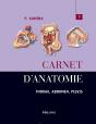 Carnet D'Anatomie T.3 ; Thorax, Abdomen, Pelvis - Preview
