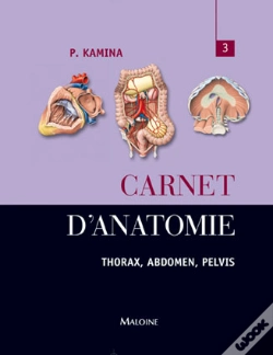 Capa do artigo Carnet D'Anatomie T.3 ; Thorax, Abdomen, Pelvis