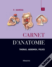 Capa do artigo Carnet D