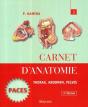 Carnet D'Anatomie Tome 3 : Thorax, Abdomen, Pelvis (3e Édition) - Preview