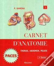 Capa do artigo Carnet D