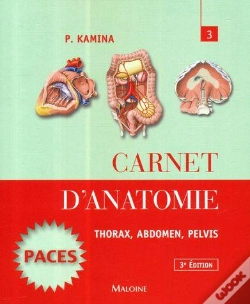 Capa do artigo Carnet D'Anatomie Tome 3 : Thorax, Abdomen, Pelvis (3e Édition)