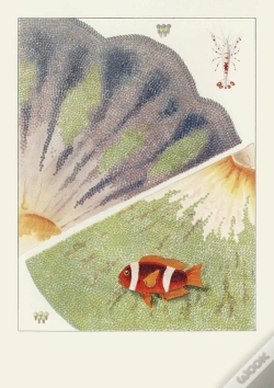 Capa do artigo Carnet : La Grande Barrière De Corail