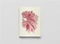 Carnet Notes & Lecture : Algues Japonaises - Preview