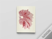 Capa do artigo Carnet Notes & Lecture : Algues Japonaises
