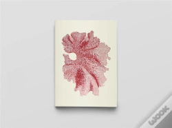 Capa do artigo Carnet Notes & Lecture : Algues Japonaises