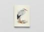 Carnet Notes & Lecture Bnf : Oiseaux D'Europe - Preview
