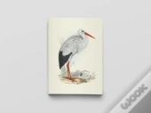 Carnet Notes & Lecture Bnf : Oiseaux D'Europe