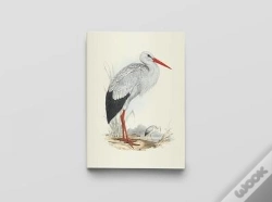 Capa do artigo Carnet Notes & Lecture Bnf : Oiseaux D'Europe