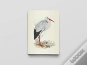 Capa do artigo Carnet Notes & Lecture Bnf : Oiseaux D