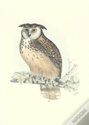 Capa do artigo Carnet Notes & Lecture - Oiseaux De L Himalaya