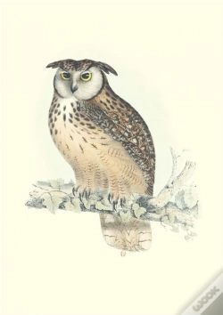 Capa do artigo Carnet Notes & Lecture - Oiseaux De L Himalaya