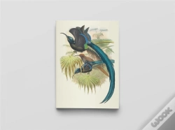 Capa do artigo Carnet Notes & Lecture : Oiseaux De Nouvelle-Guinée
