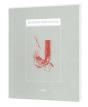 Carnet Recomposé ; Benjamin Graindorge - Preview