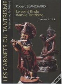 Capa do artigo Carnet T.11 ; Le Pont Bindu Dans Le Tantrisme