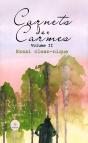 Carnets Des Carmes : Volume Ii : Essai Clean-Nique - Preview