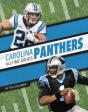 Carolina Panthers All-Time Greats - Preview