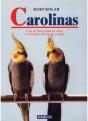 Carolinas - Preview