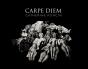 Carpe Diem - Preview