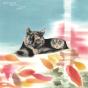Carpet Of Fallen Leaves - CD - Preview