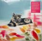 Carpet Of Fallen Leaves - Vinil - Preview