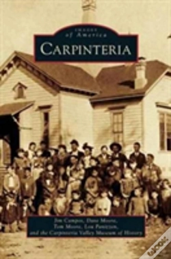 Capa do artigo Carpinteria