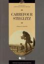 Carrefour Stieglitz - Preview