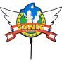 Wireless Charger - Sonic the Hedgehog - Preview