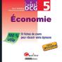 Carres Dcg 5 - Economie - Preview