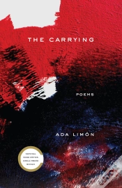 Capa do artigo Carrying