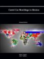 Cartel Car Bombings In Mexico - Preview