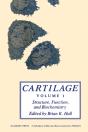 Cartilage V1 - Preview
