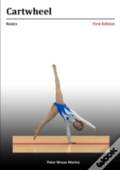 Capa do artigo Cartwheel: Basics